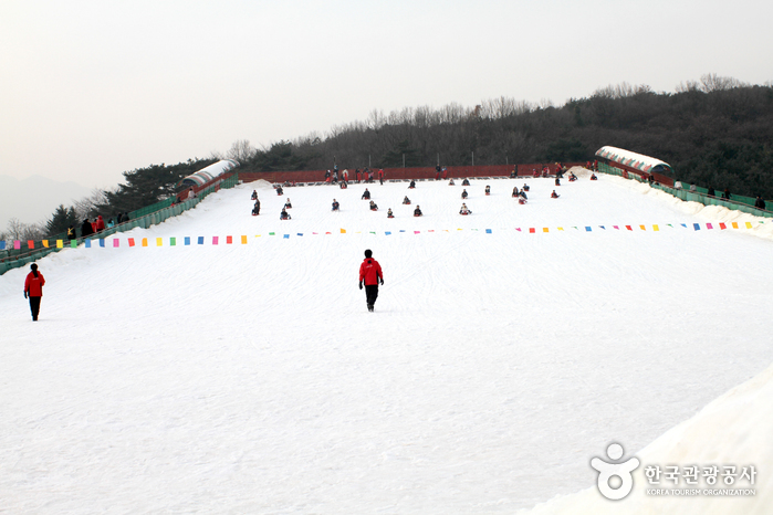 Seoulland Sledding Hills (서울랜드 눈썰매장)