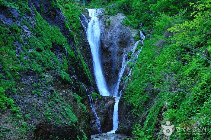 Bongnaepokpo Falls [Ullengdo & Dokdo National Geopark] (봉래폭포 (울릉도, 독도 국가지질공원))