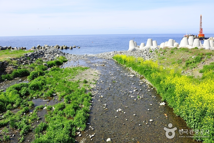 Tonggumi Pebble Beach (통구미몽돌해변)