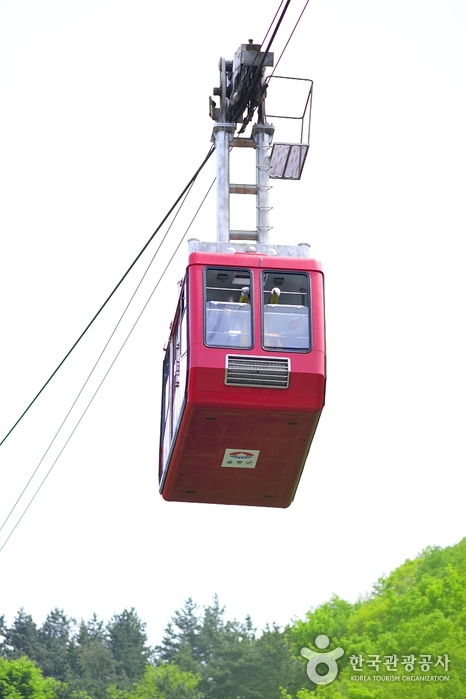 Dokdo Observatory Cable Car (독도전망대 케이블카)