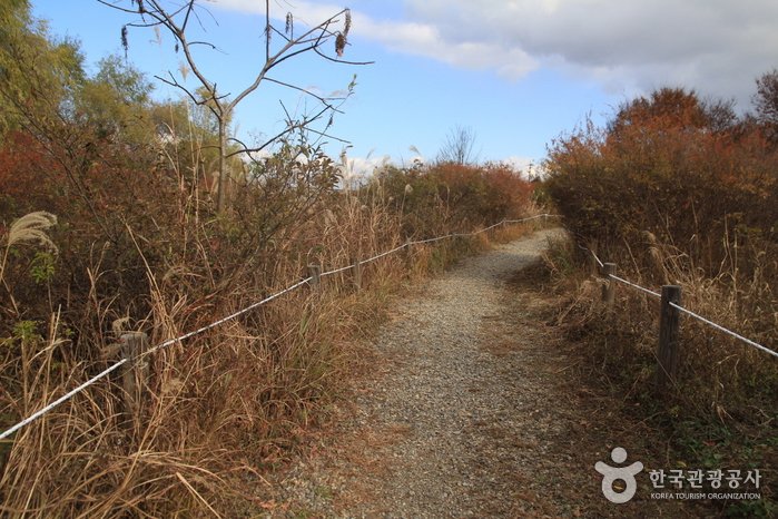 Godeok-dong Ecological Landscape Conservation Area (고덕동 생태경관 보전지역)