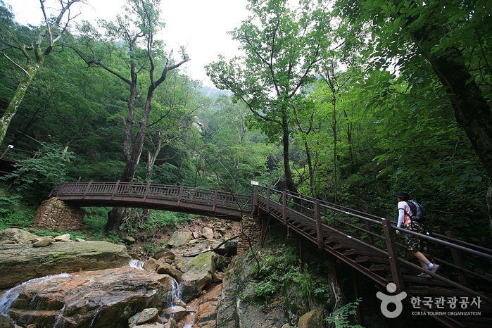 Seoraksan Heullimgol Valley (설악산 흘림골)