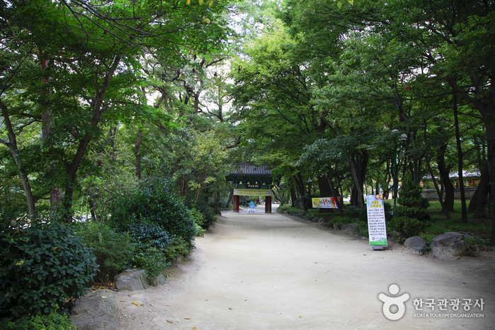 Naeyeonsan Bogyeongsa Municipal Park (내연산보경사시립공원)