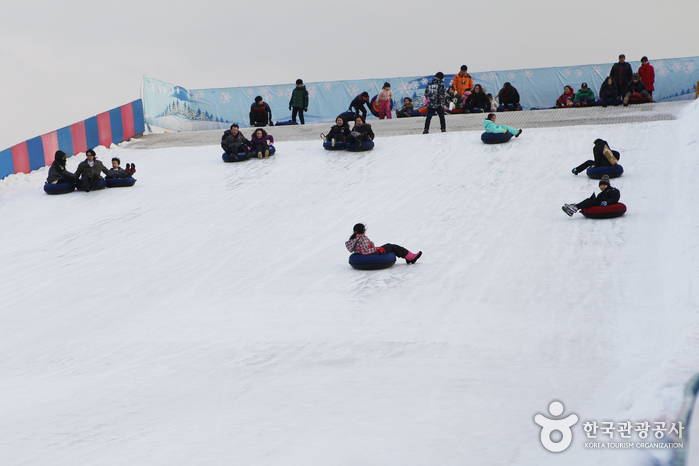 Ttukseom Hangang Park Sledding Hill (한강공원 뚝섬 눈썰매장)