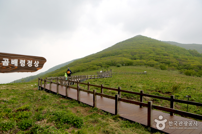 Jeombongsan Mountain Gombaeryeong Pass (점봉산 곰배령)