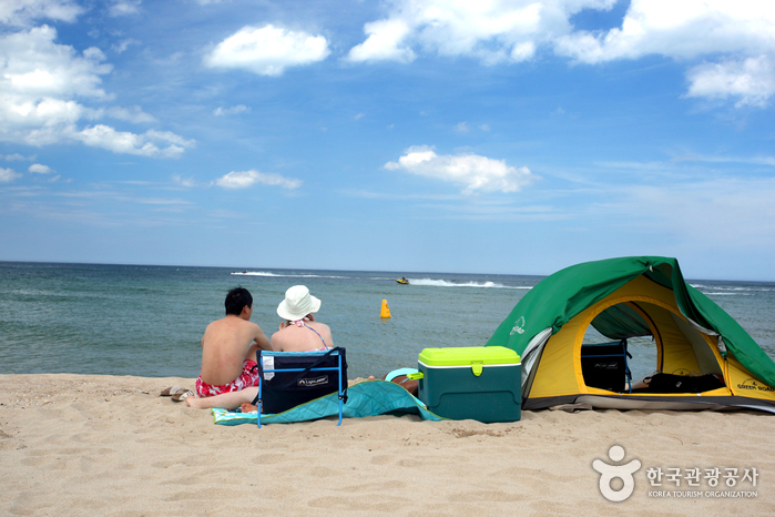 Daejin Beach (대진해수욕장)