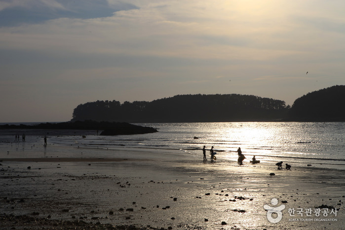 Muchangpo Beach (무창포해수욕장)