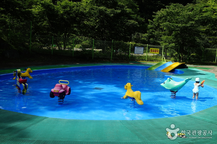 Cheondong Tourist Area Water Park (천동관광지 물놀이장)