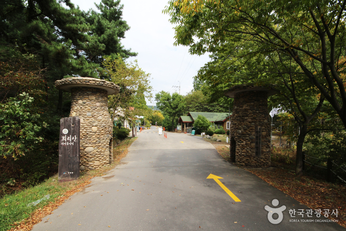 Huirisan Pine Tree Recreational Forest (국립 희리산해송자연휴양림)