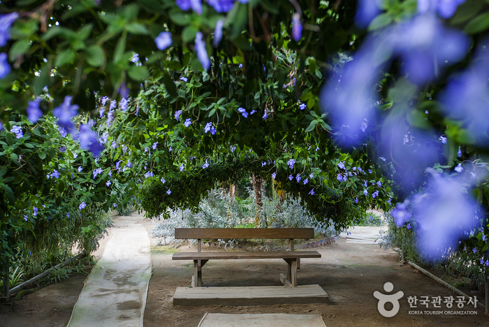 World Flower Botanical Garden (세계꽃식물원)