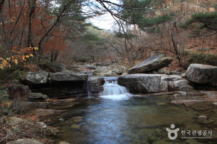 Daeyasan Yongchugyegok Valley (대야산 용추계곡)