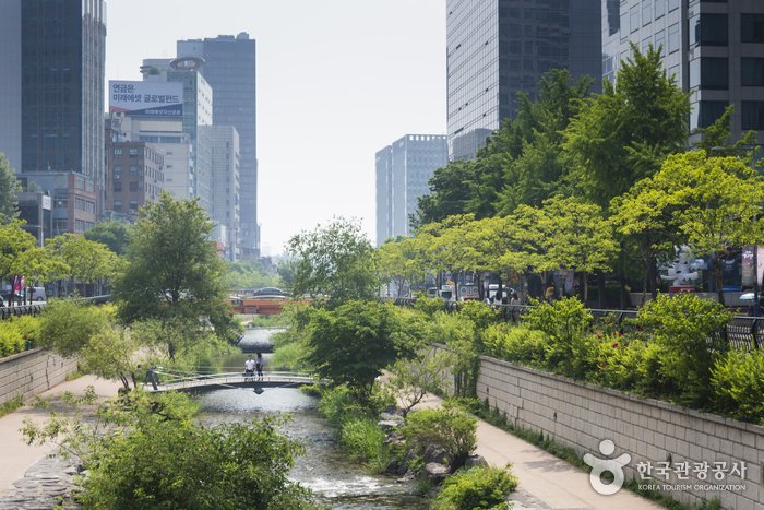 Cheonggyecheon Stream (청계천)