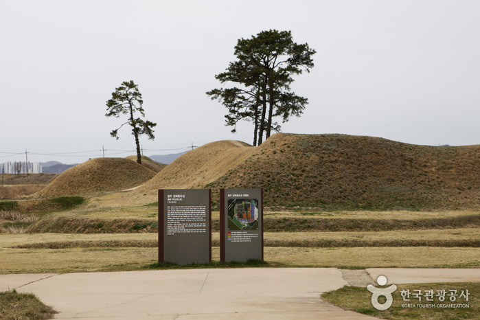 Earthen Fortification in Jeongbuk-dong (청주 정북동 토성)