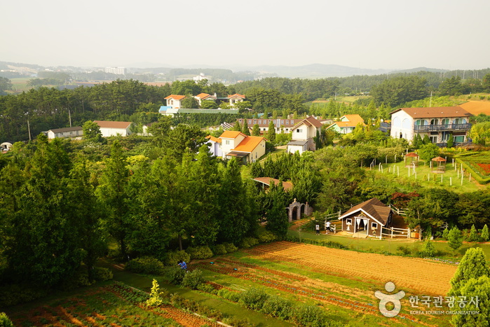 Farm Kamille, Taean (팜카밀레)