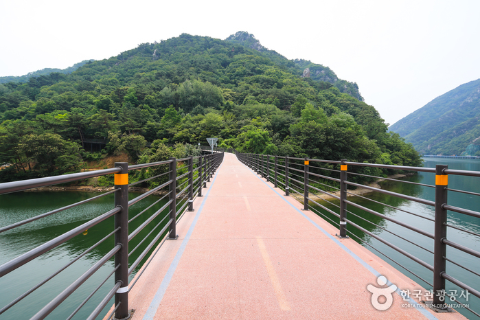 Uiamho Lake Skywalk (의암호스카이워크)