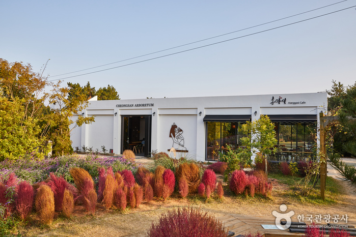 Cheongsan Arboretum (청산수목원)