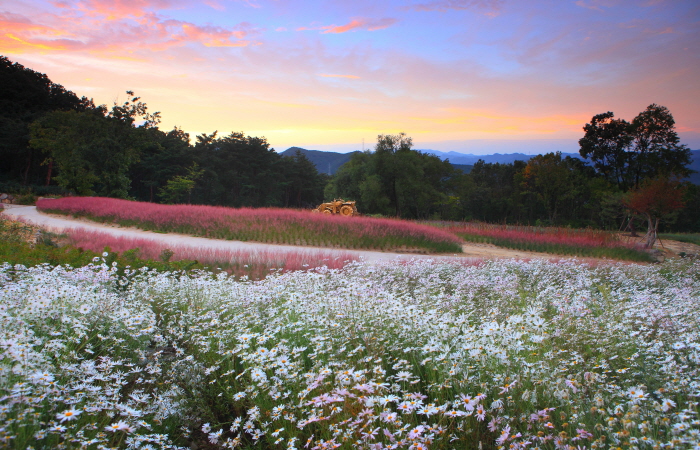 Gasan Supia (가산수피아)