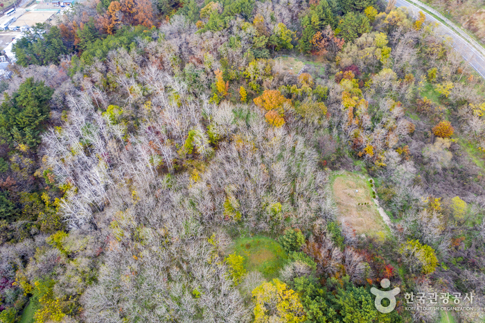 Samsa Marine Park (삼사해상공원 (삼사해상산책로))