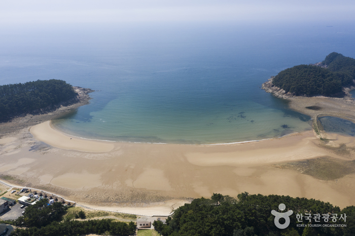 Cheollipo Beach (천리포해수욕장)