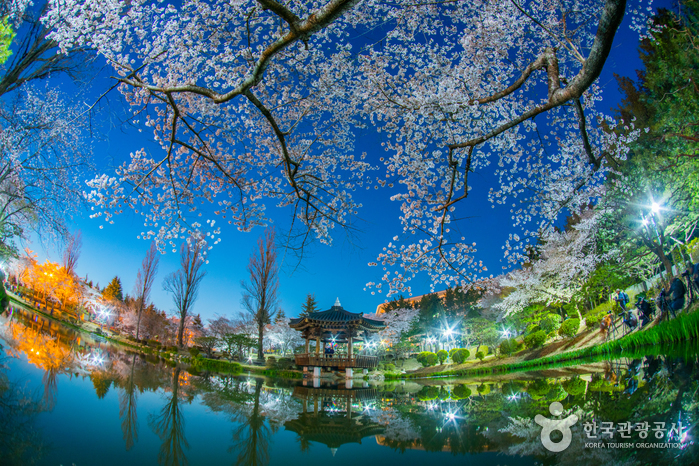 Gyeongju Bomunjeong Pavilion (보문정 (경주))