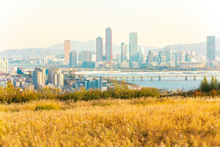 Haneul Park (하늘공원)