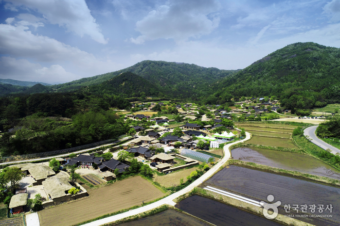 Goseong Wanggok Village (고성왕곡마을)