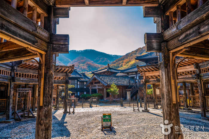 Dae Jang Geum Park (용인 대장금파크)