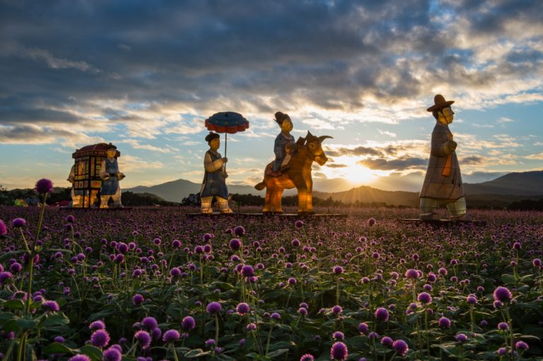 Nari Farm (나리농원)