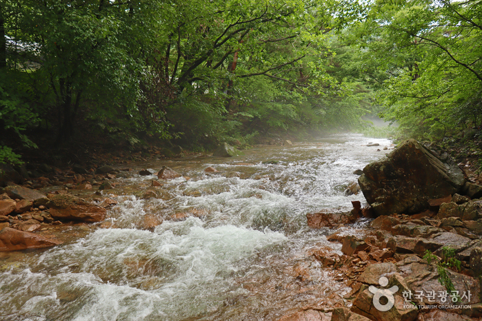 Mansugyegok Valley (만수계곡)
