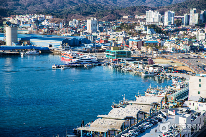 Mukhohang Port (묵호항)