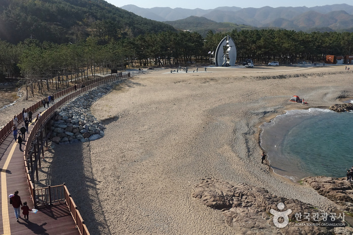 Jangsa Beach (장사해수욕장)