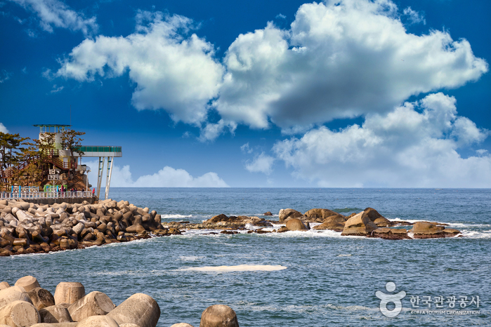 Namaehang Port (남애항)