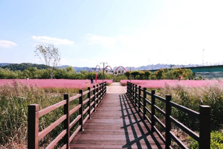 Grasswon Park (그라스원)