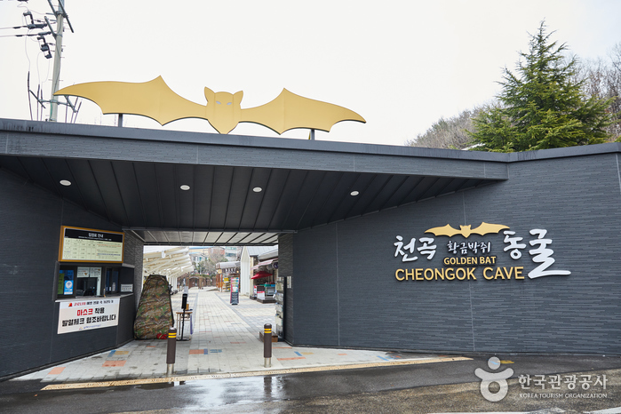 Cheongok Golden Bat Cave (천곡황금박쥐동굴)