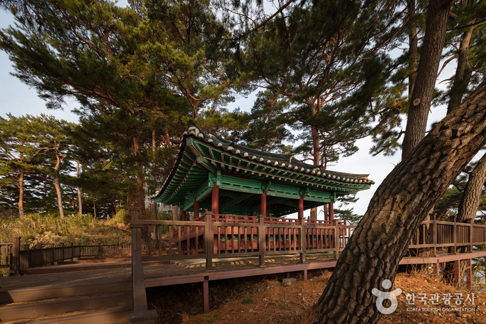 Jukdojeong Pavilion & Jukdo Observatory (죽도정&죽도 전망대)