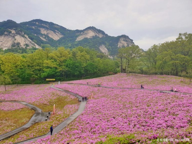Buramsan Butterfly Garden (불암산나비정원)