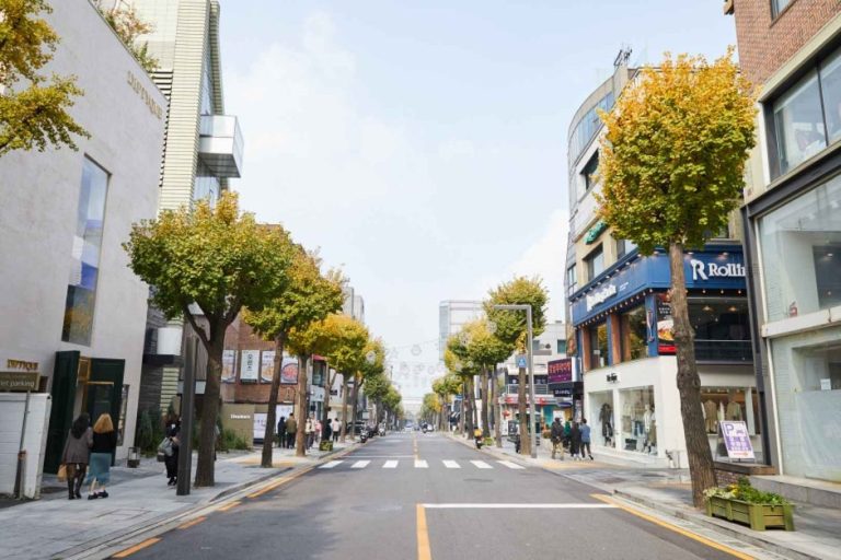 Sinsa-dong Garosu-gil Road (신사동 가로수길)