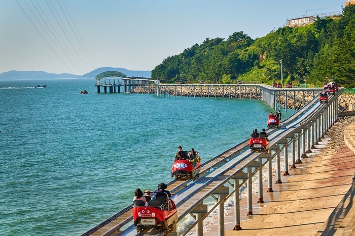Ziptrek Korea (대천 짚트랙)