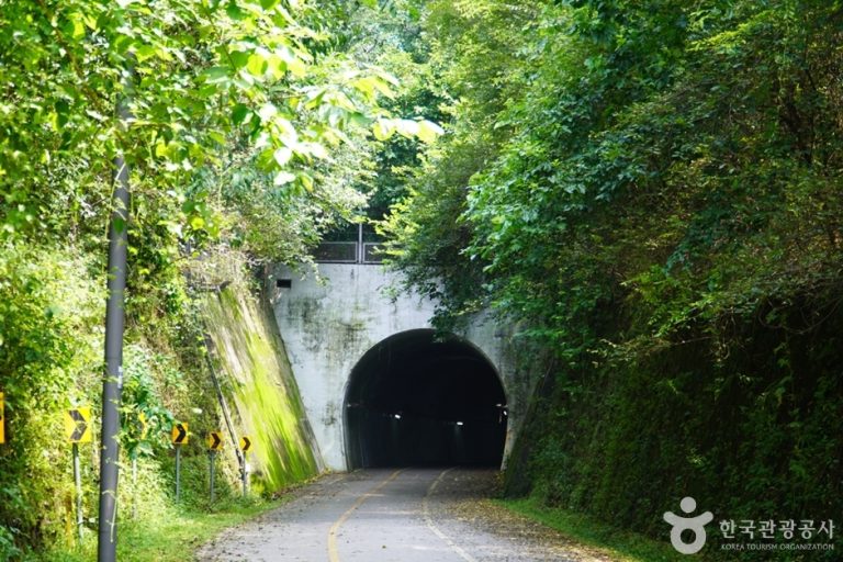 Saekhyeon Tunnel (색현터널)