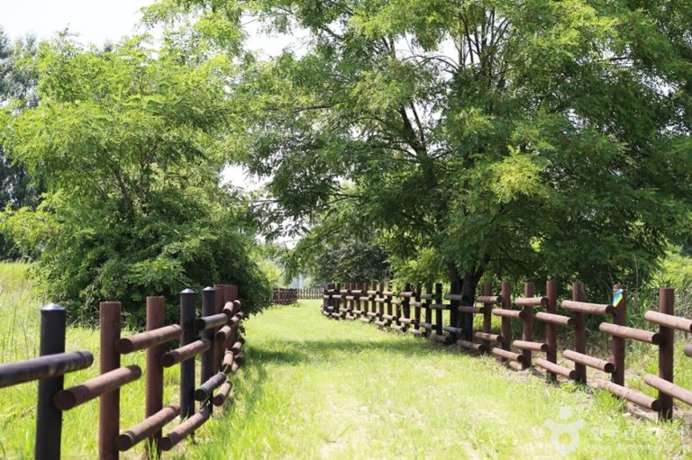 Gangcheonseom Island (강천섬)