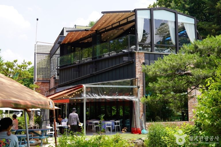 Dally.On (달리온)