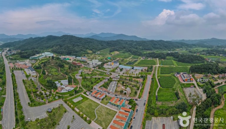 Jamsa Insect Plant (잠사곤충사업장)