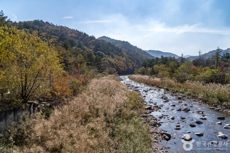 Buyeondong Village (부연동마을)