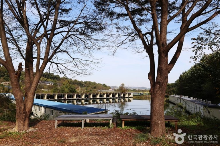 Danggol Fishing Area (당골낚시터)