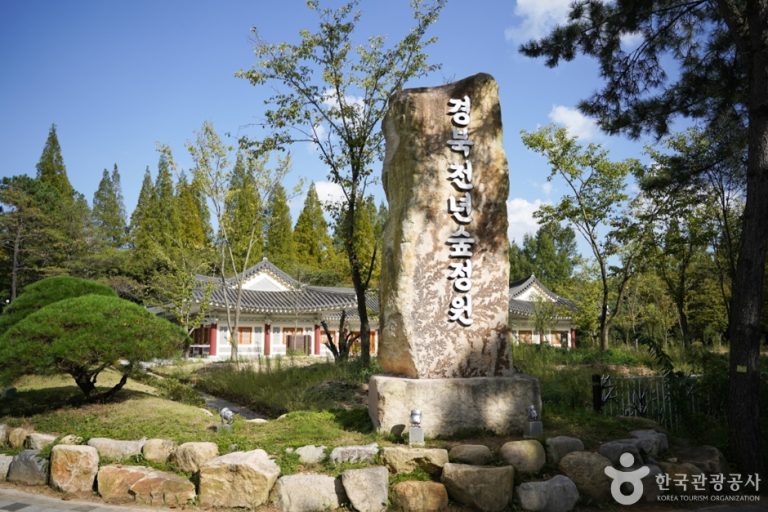 Gyeongbuk Millennium Forest Garden (경북천년숲정원)