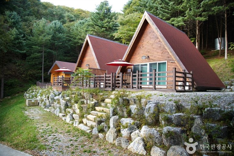 Chiaksan Recreational Forest (치악산자연휴양림)