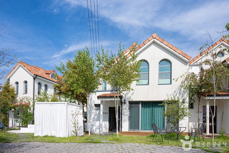 The White Birch (더화이트버치)