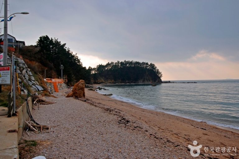 Padori Beach (파도리해수욕장)