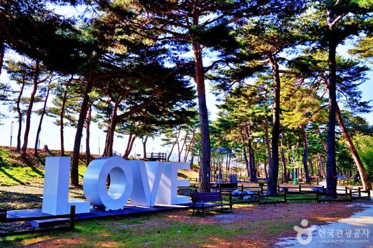 Uljin Wangpicheon Park (울진 왕피천 공원)