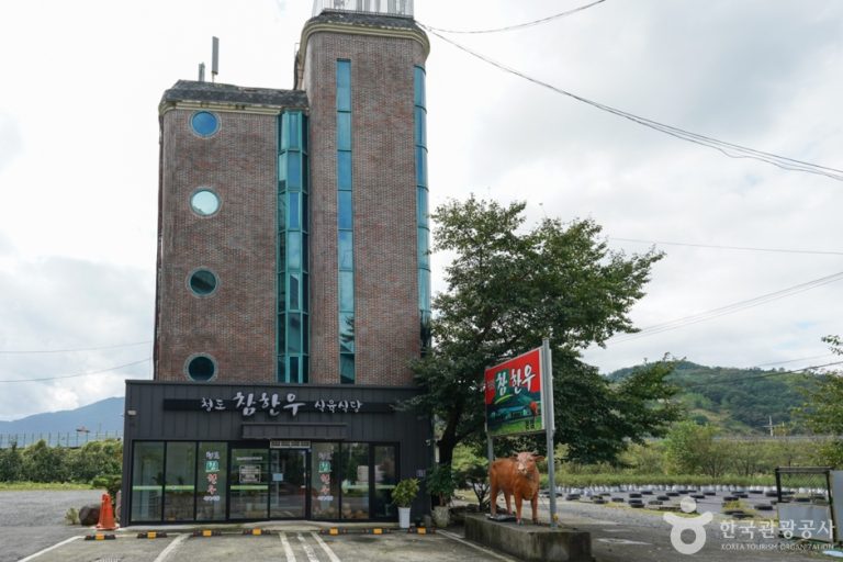 Cheongdo Chamhanwoo Meat Restaurant (청도참한우식육식당)